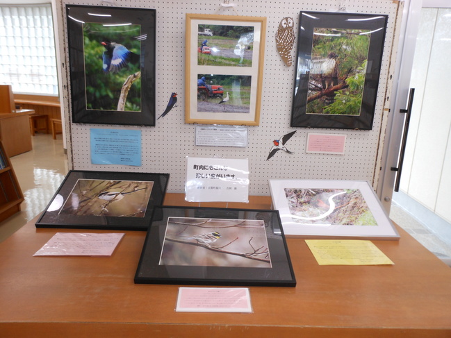 鳥の写真展